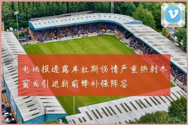 电讯报透露库杜斯伤情严重热刺冬窗或引进新前锋补强阵容