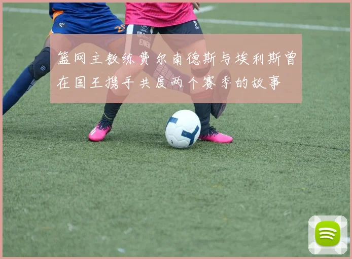 篮网主教练费尔南德斯与埃利斯曾在国王携手共度两个赛季的故事