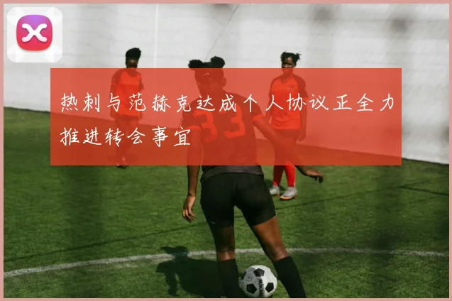 热刺与范赫克达成个人协议正全力推进转会事宜